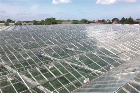 如何徹底清除溫室遮陽(yáng)劑？