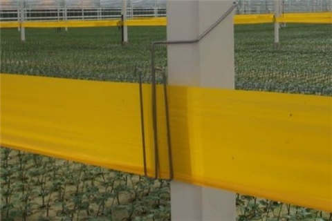 如何固定粘蟲帶支架？